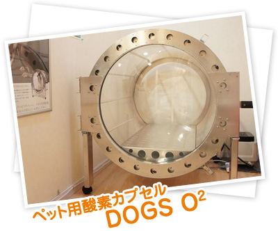 ペット用酸素カプセル DOGS O2
